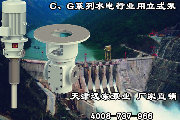 C、G系列水電行業(yè)用立式泵